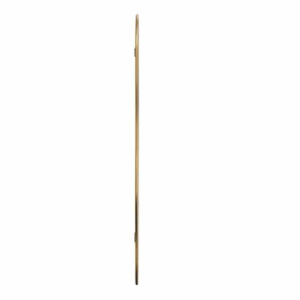 Wandspiegel 60x25 cm goudkleurig 4