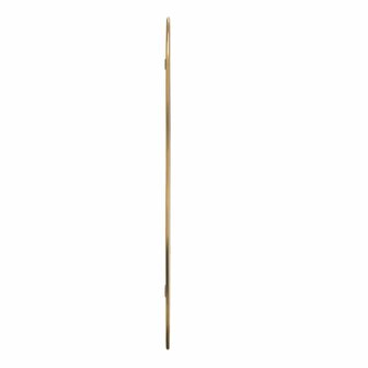 Wandspiegel 70x30 cm goudkleurig 4