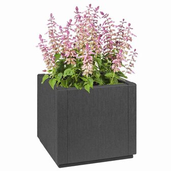Tuin Bloempot Antraciet 36 x 36 x 35 cm Polypropyleen 2