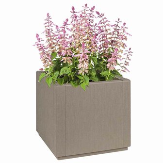 Tuin Bloempot Grijs 36 x 36 x 35 cm Polypropyleen 2