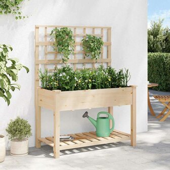 Tuin Bloempot Beige 115 x 60.5 x 153 cm Massief vurenhout 4
