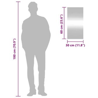 Wandspiegel 30x60 cm rechthoekig glas 7