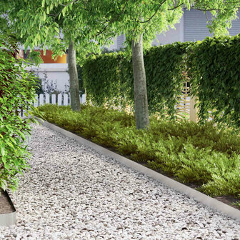 Tuinrand Zilver 450 x 0.05 x 15 cm Roestvrij staal 4