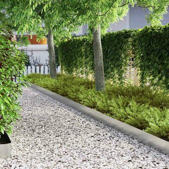 Tuinrand Zilver 450 x 0.05 x 15 cm Gegalvaniseerd staal 4