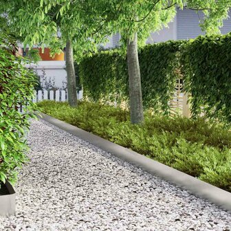 Tuinrand Zilver 450 x 0.05 x 15 cm Gegalvaniseerd staal 4