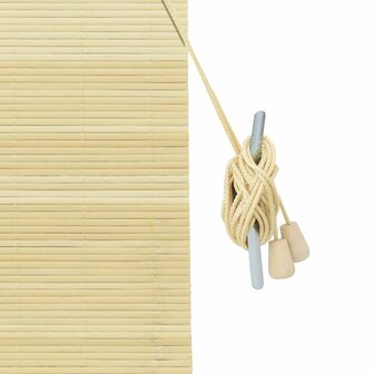 Raamrolgordijnen &amp; Shutters Anders Naturel Bamboe 6