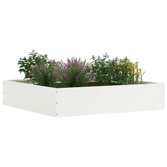 Tuinrand Wit 60 x 60 x 13 cm Staal 3