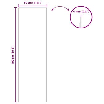 Wandspiegel Rechthoekig 30 x 100 cm gehard glas 8