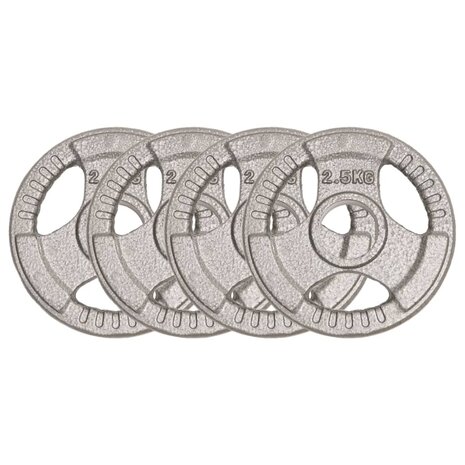 Halterschijven 4 st 10 kg gietijzer