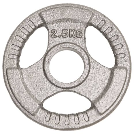 Halterschijven 4 st 10 kg gietijzer
