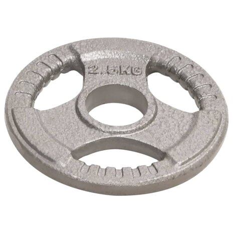 Halterschijven 4 st 10 kg gietijzer