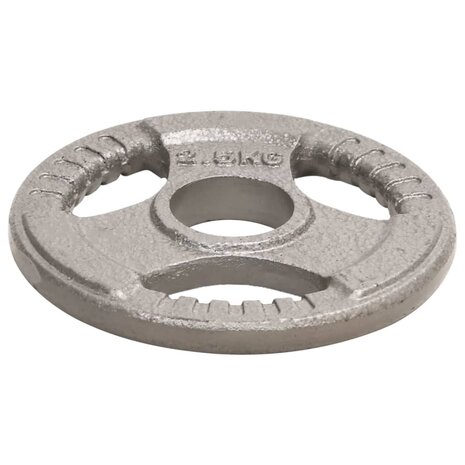 Halterschijven 4 st 10 kg gietijzer