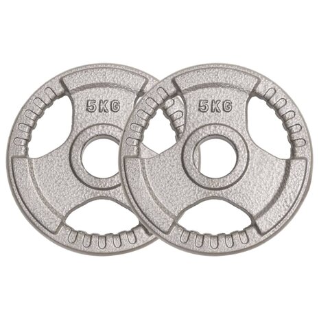 Halterschijven 2 st 10 kg gietijzer