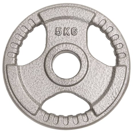 Halterschijven 2 st 10 kg gietijzer
