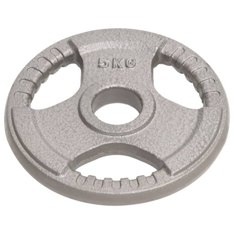 Halterschijven 2 st 10 kg gietijzer
