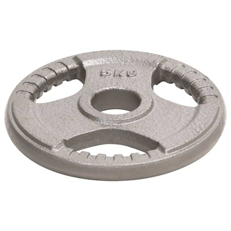 Halterschijven 2 st 10 kg gietijzer