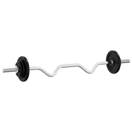 Halterset 30 kg gietijzer
