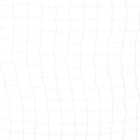Voetbaldoel 300x160x90 cm metaal zwart en wit