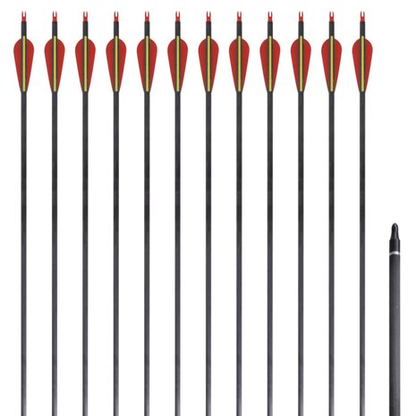 Pijlen voor recurveboog standaard 30" 0,76 cm koolstof 12 stuks