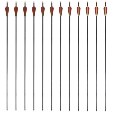 Pijlen voor recurveboog standaard 30" 0,76 cm koolstof 12 stuks