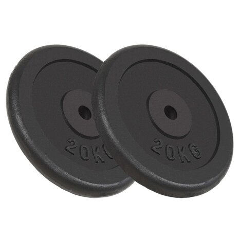 Halterschijven 2 st 2x20 kg gietijzer