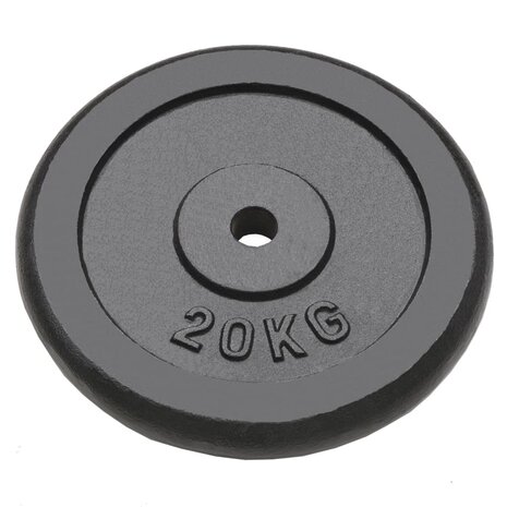 Halterschijven 2 st 2x20 kg gietijzer