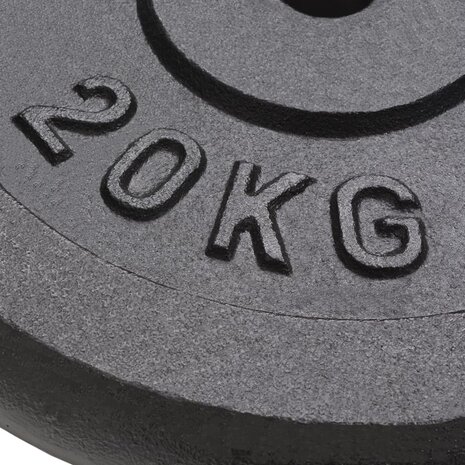Halterschijven 2 st 2x20 kg gietijzer
