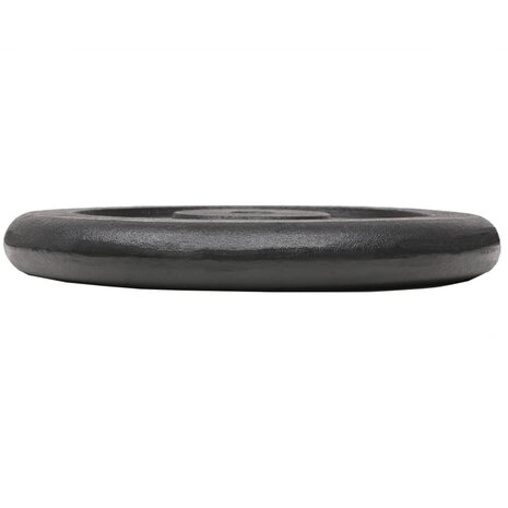 Halterschijven 2 st 2x20 kg gietijzer