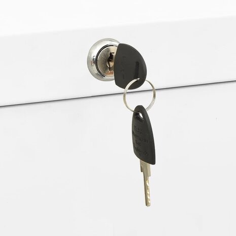 Archiefkast 90x46x134 cm staal wit 8720286566060 11
