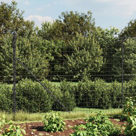 Draadgaashek met flens 2,2x10 m antracietkleurig 8720845780524 1