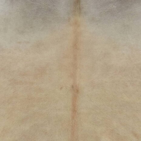 Vloerkleed 180x220 cm echte koeienhuid beige 8721012367227 3
