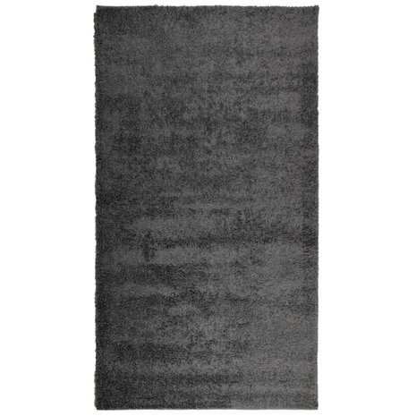 Vloerkleed PAMPLONA shaggy hoogpolig modern 60x110 cm antraciet 8721012227859 2