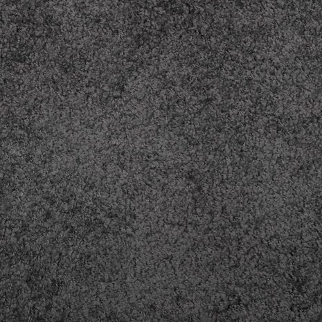 Vloerkleed PAMPLONA shaggy hoogpolig modern 80x150 cm antraciet 8721012227866 9