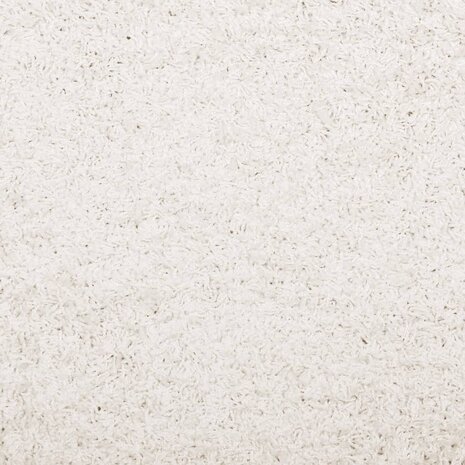Vloerkleed PAMPLONA shaggy hoogpolig modern Ø 80 cm crèmekleur 8721012228443 9