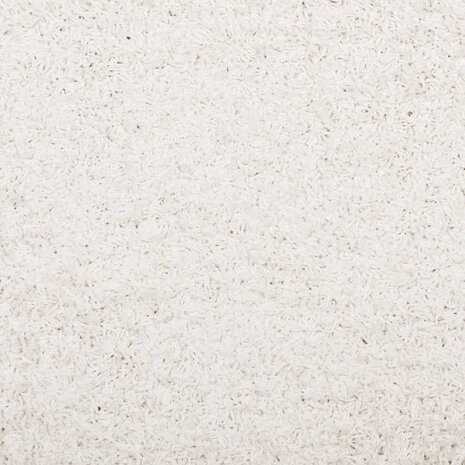 Vloerkleed PAMPLONA shaggy hoogpolig modern Ø 120 cm crèmekleur 8721012228467 9