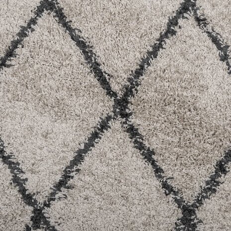 Vloerkleed PAMPLONA shaggy hoogpolig Ø 80 cm beige antraciet 8721012229983 9