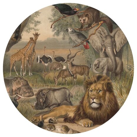 WallArt Behangcirkel Animals of Africa 142,5 cm 8719992629251 2