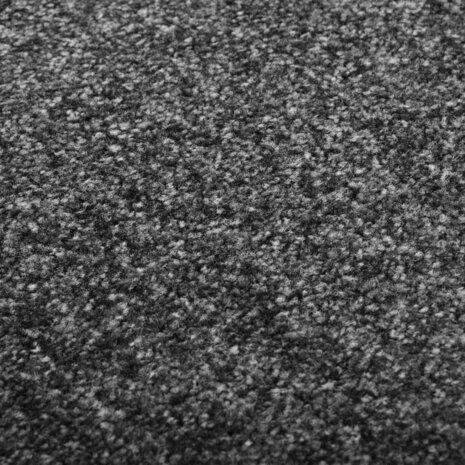 Deurmat wasbaar 40x60 cm antraciet 8720286064672 5