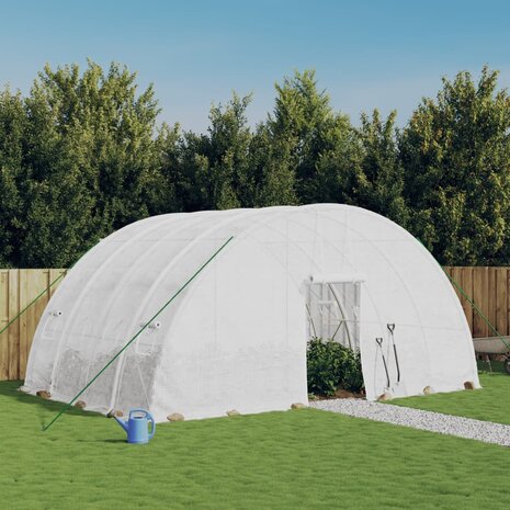 Tuinkas met stalen frame 24 m² 6x4x2,85 m wit 1