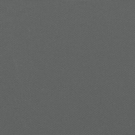 Windscherm uittrekbaar 220x300 cm antracietkleurig 9