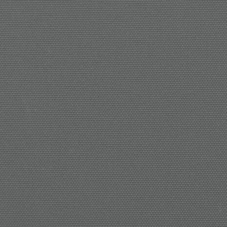 Windscherm uittrekbaar 140x300 cm antracietkleurig 9