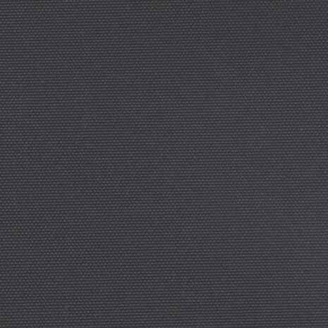 Windscherm uittrekbaar 160x300 cm zwart 9
