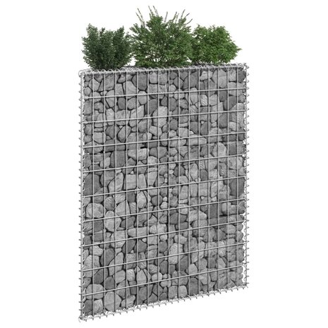 Gabion plantenbak trapezium 80x20x100 cm gegalvaniseerd staal 1