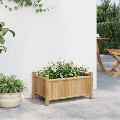 Plantenbak 50x30x25 cm bamboe 3