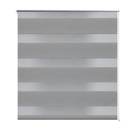 Duo Rolgordijn 50x100cm Grijs 2