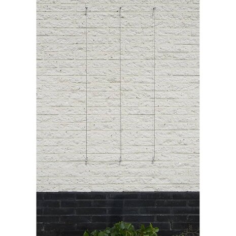 Nature Spandraadsytemen voor klimplanten 2 st 3
