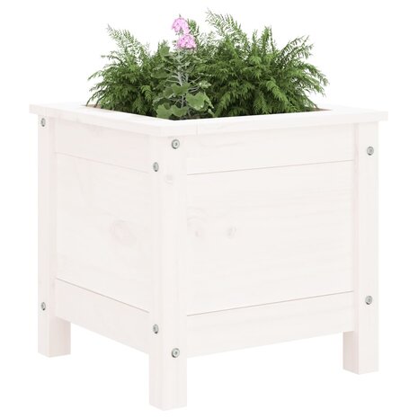 Plantenbak 40x40x39 cm massief grenenhout wit 3