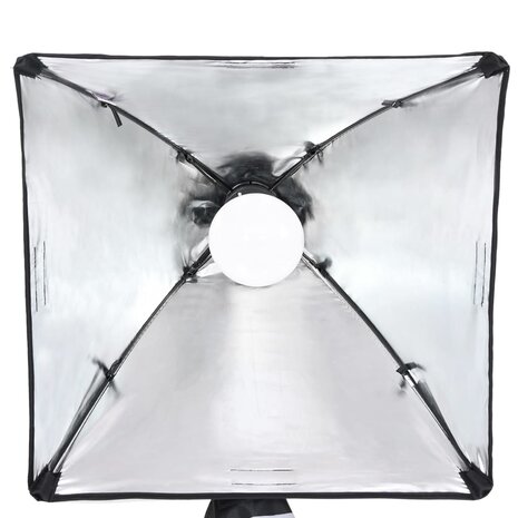 Fotostudioset met verlichtingsset en achtergrond 6