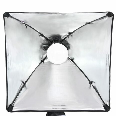 Fotostudioset met verlichtingsset en achtergrond 6