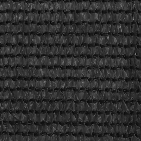 Tenttapijt 200x300 cm antracietkleurig 3